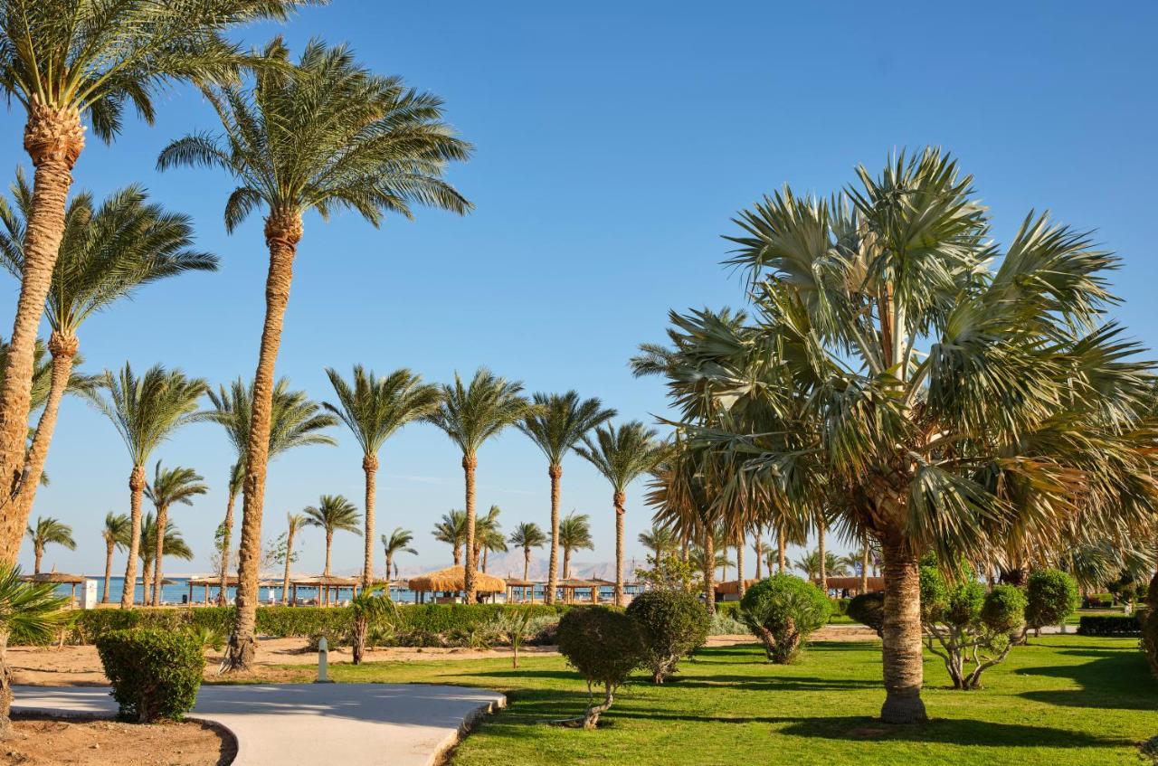 Coral Sea Waterworld Sharm El Sheikh Hotel Ngoại thất bức ảnh